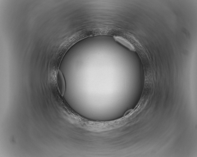 X0000115670045200911121202