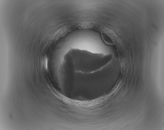 X0000115670046200911121202