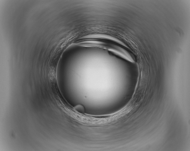 X0000115670048200911121202