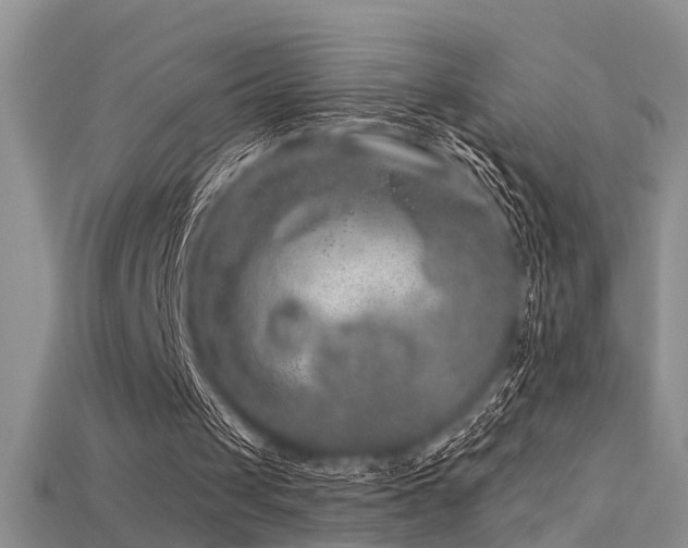 X0000115670049200911121201