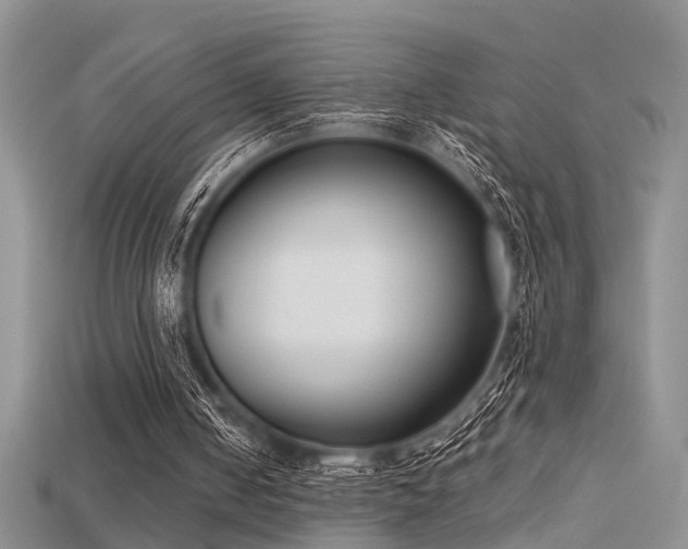 X0000115670050200911121201