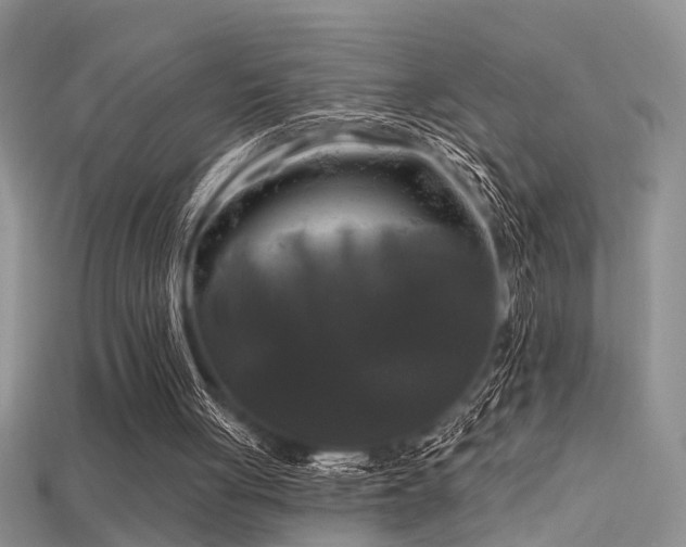 X0000115670051200911121201