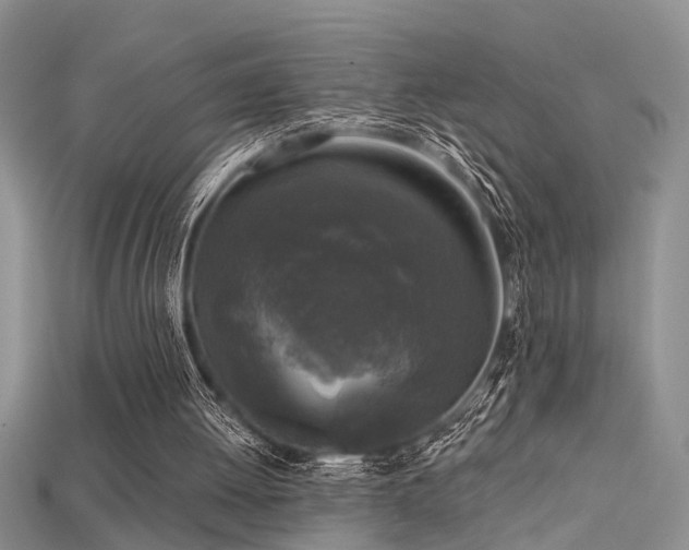 X0000115670052200911121201