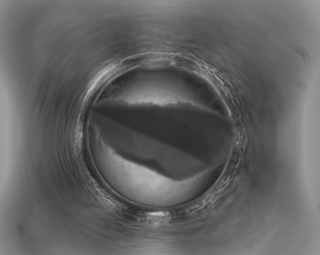 X0000115670053200911121201