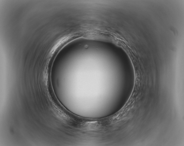 X0000115670054200911121201