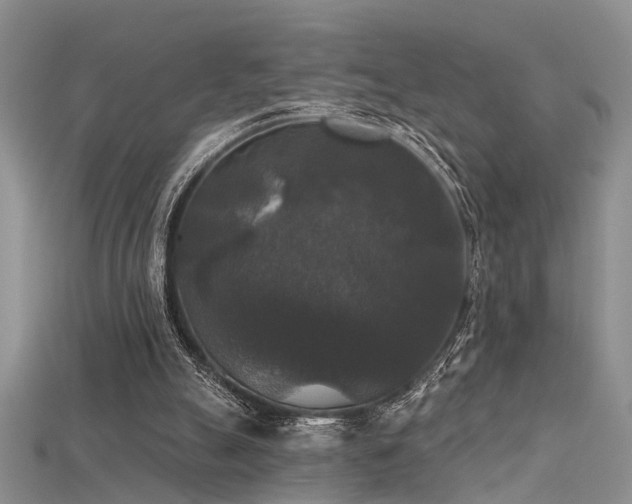 X0000115670055200911121201