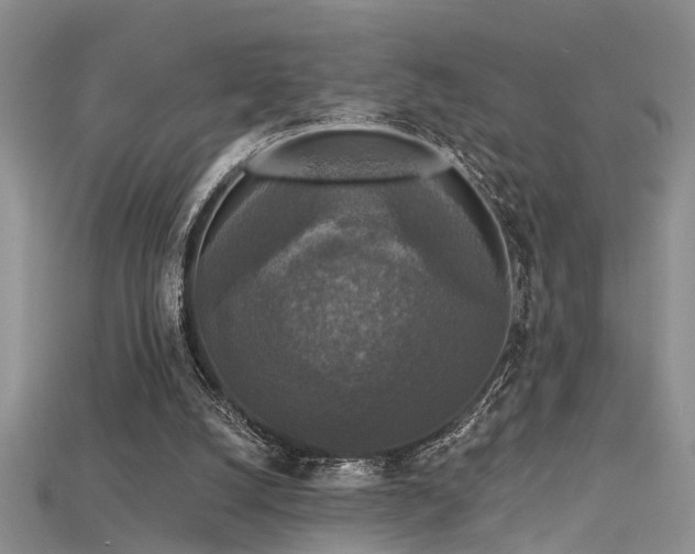 X0000115670056200911121201
