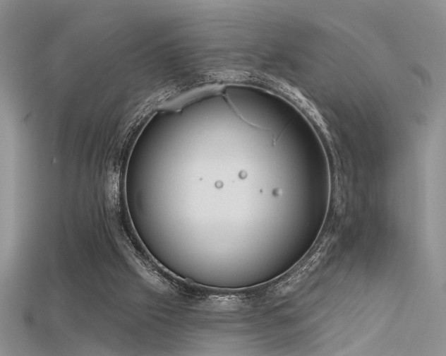 X0000115670057200911121201