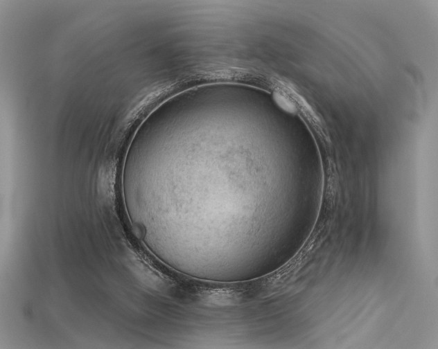 X0000115670058200911121201