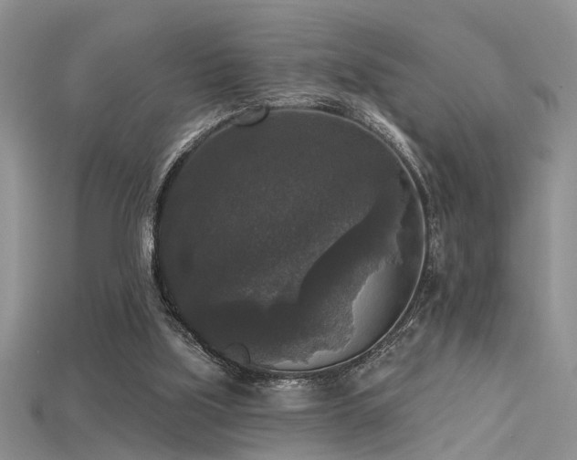 X0000115670059200911121201