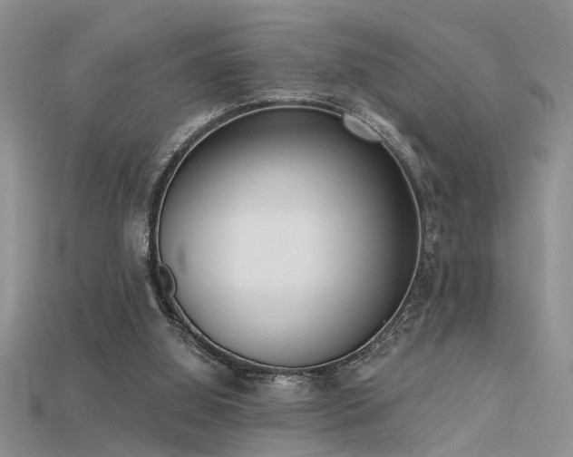 X0000115670060200911121201