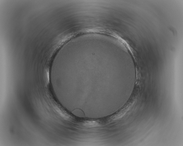 X0000115670061200911121201
