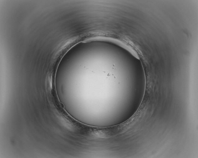 X0000115670062200911121201