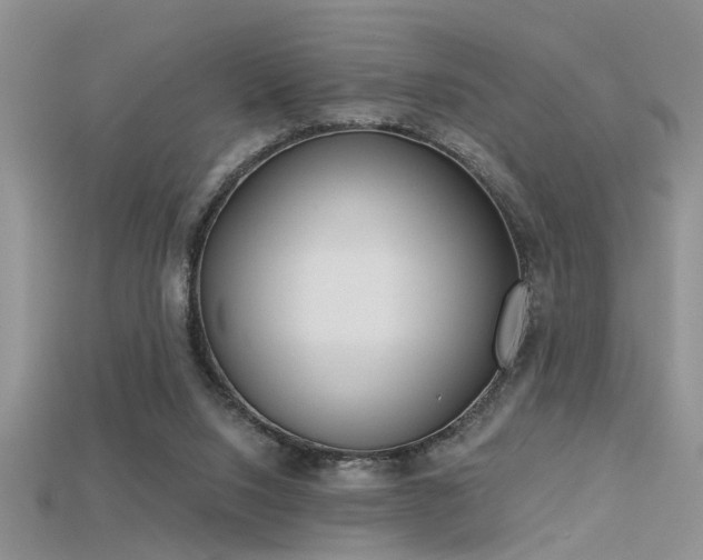 X0000115670064200911121202