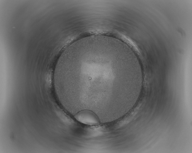 X0000115670065200911121202