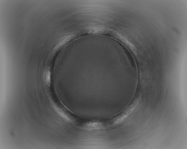 X0000115670067200911121202