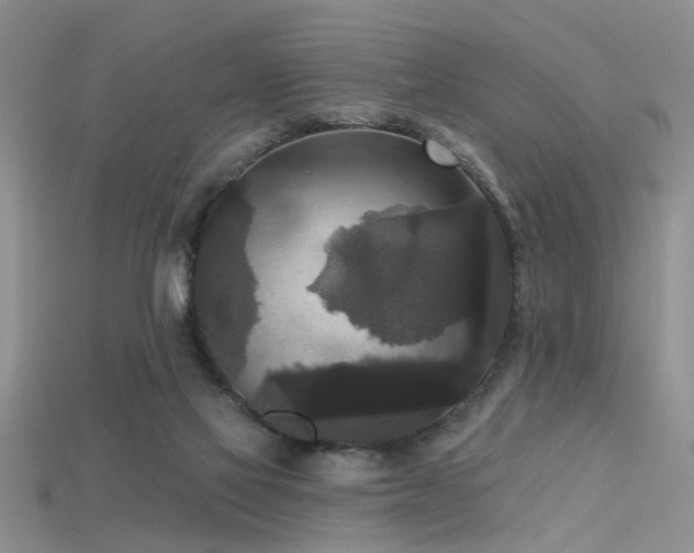 X0000115670069200911121202