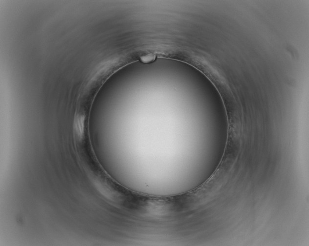 X0000115670070200911121202