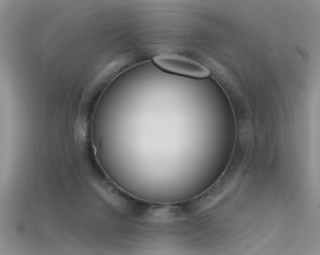 X0000115670072200911121202