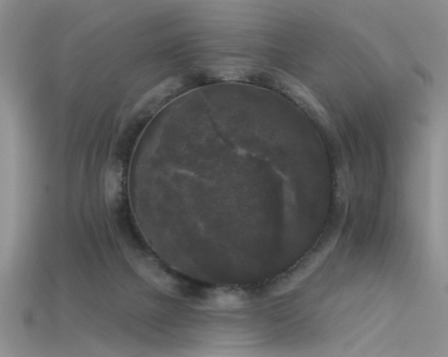 X0000115670073200911121202
