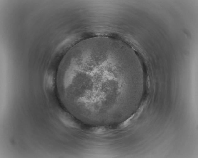 X0000115670074200911121202