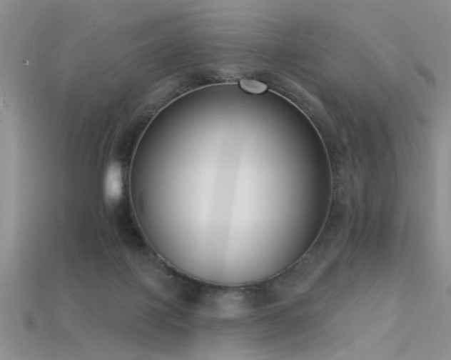 X0000115670075200911121202