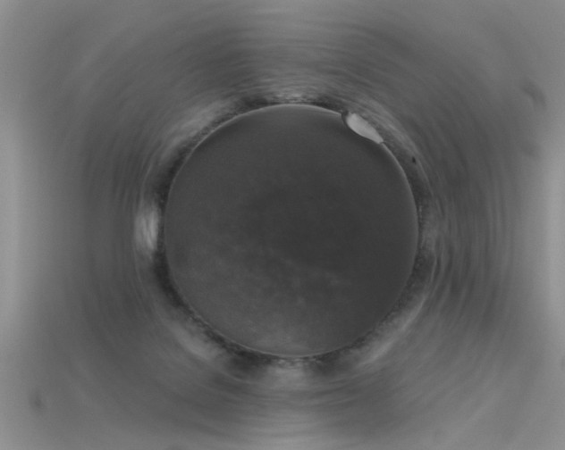 X0000115670076200911121202
