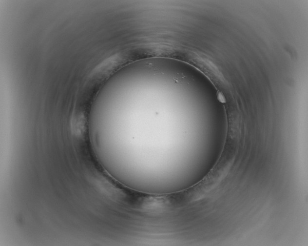 X0000115670077200911121202