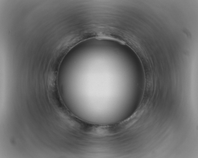 X0000115670078200911121202