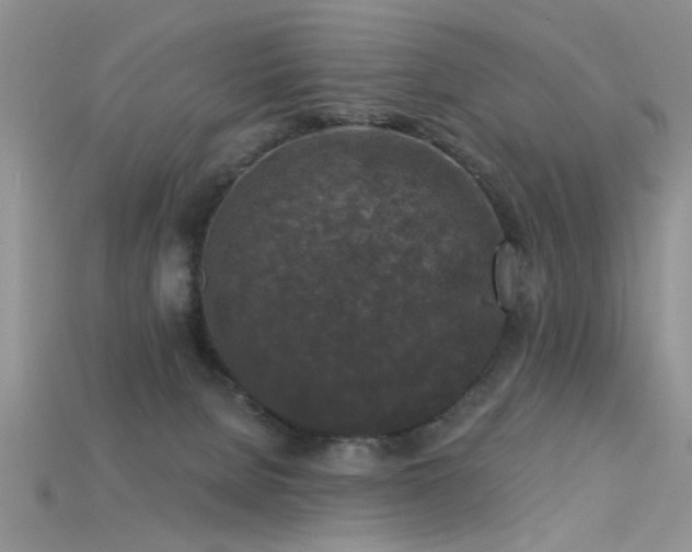 X0000115670080200911121202
