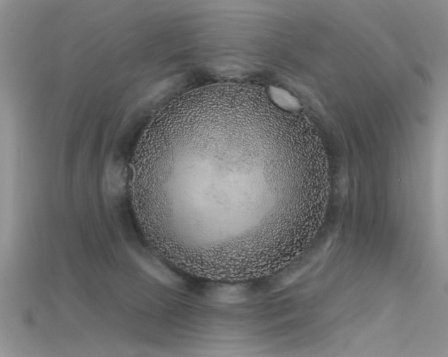 X0000115670081200911121202
