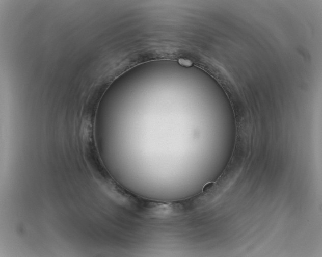 X0000115670083200911121202