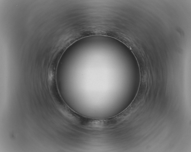 X0000115670084200911121202