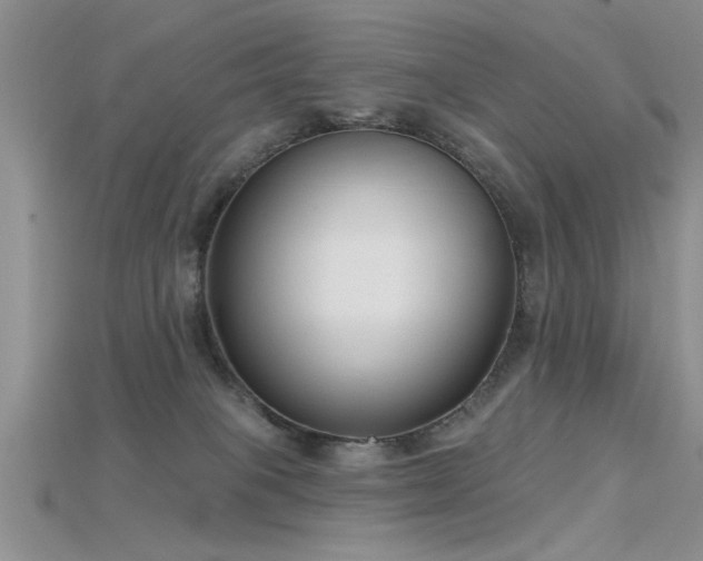 X0000115670085200911121202