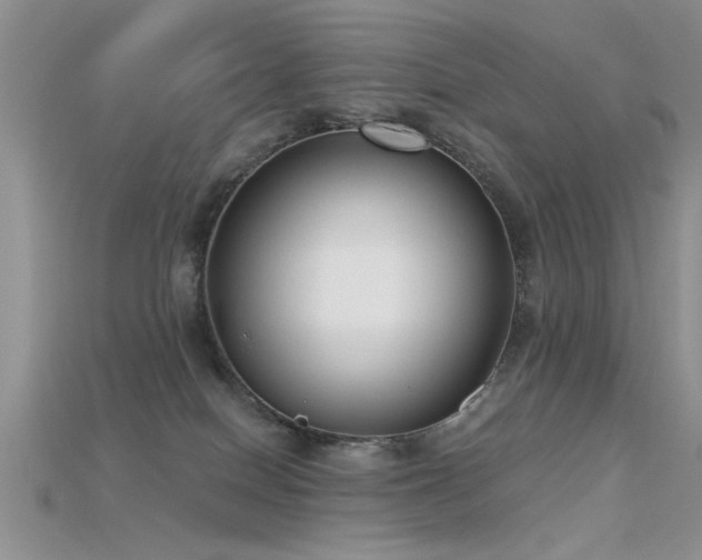 X0000115670086200911121202