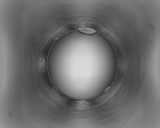 X0000115670087200911121202