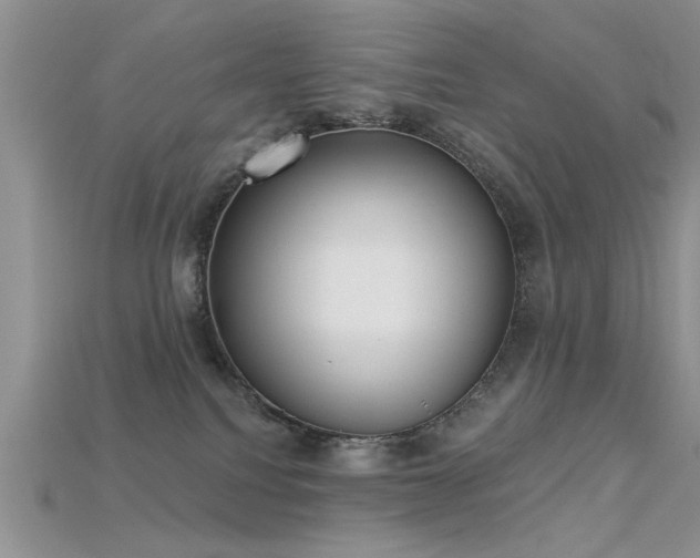 X0000115670088200911121202