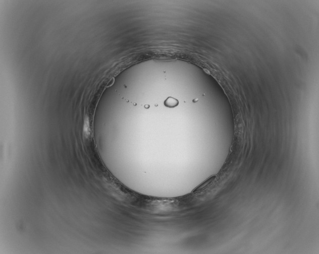 X0000115670089200911121202