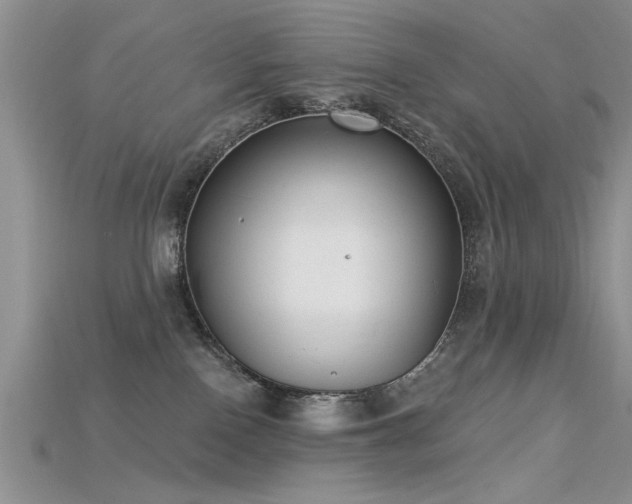 X0000115670090200911121202