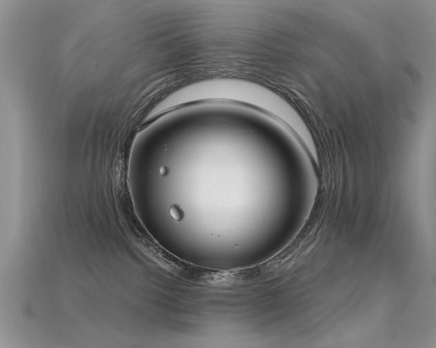 X0000115670092200911121202