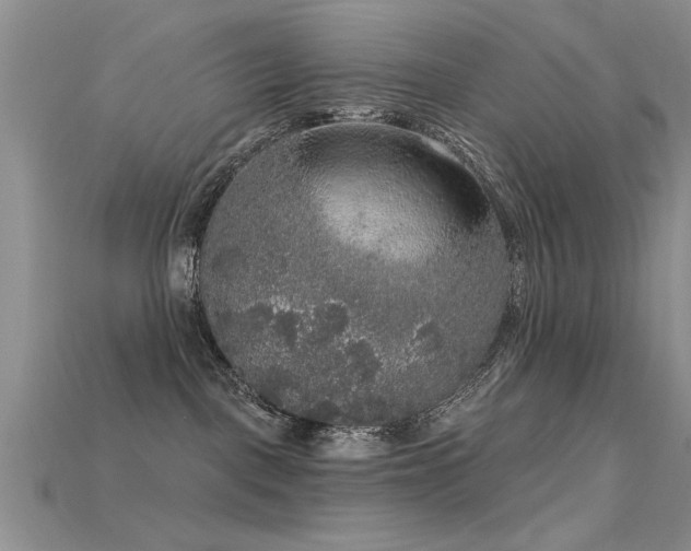 X0000115670093200911121202