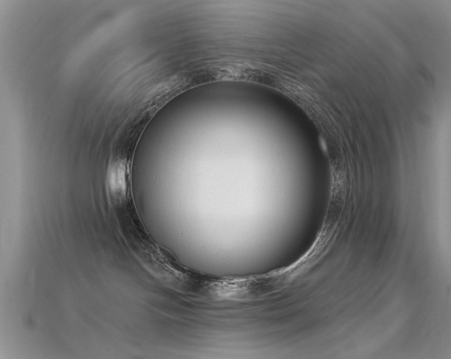 X0000115670094200911121202