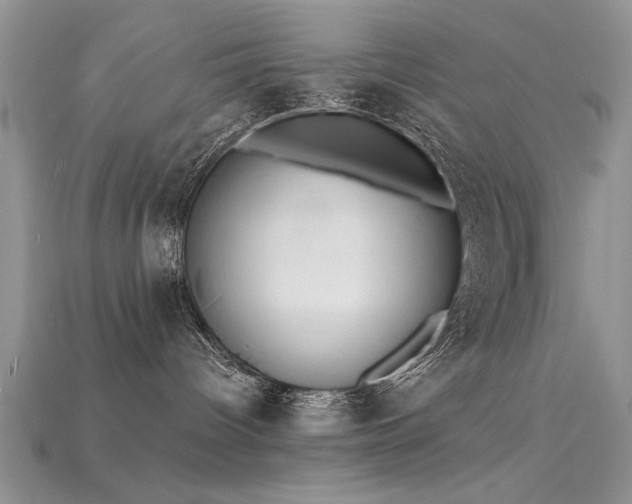 X0000115670096200911121202