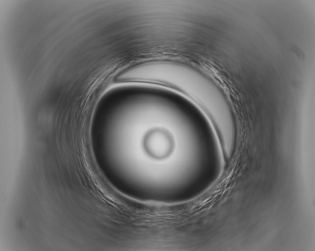 X0000115670097200911121201