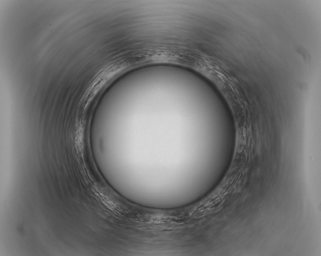X0000115670098200911121201