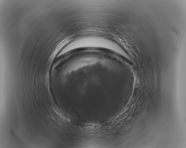 X0000115670099200911121201
