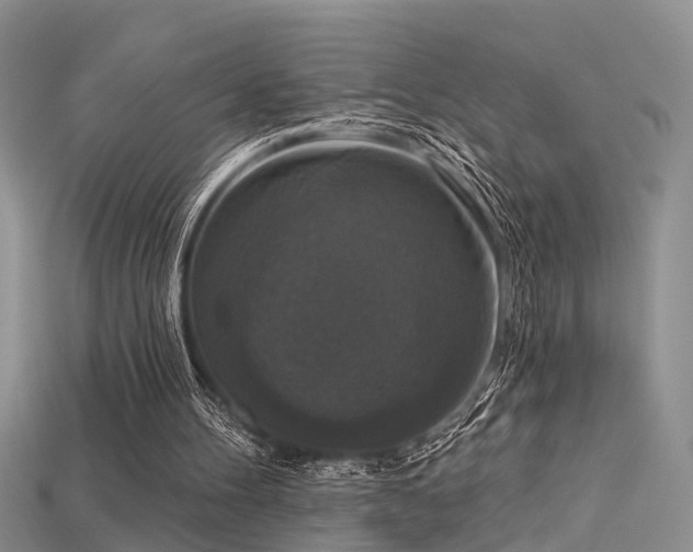 X0000115670100200911121201