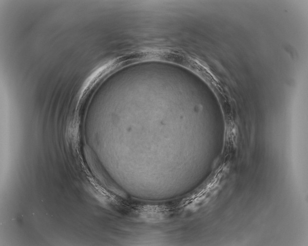 X0000115670101200911121201