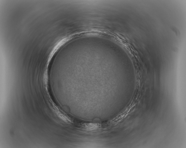 X0000115670102200911121201