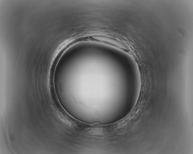 X0000115670104200911121201